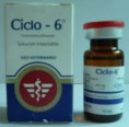 CICLO - 6 300 Mg. Enantato de Testosterona Frasco 10 ML 